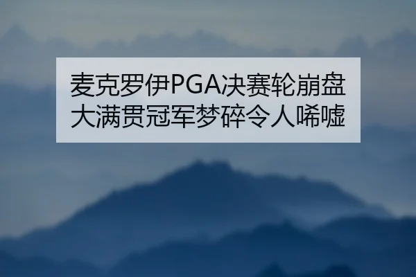mai-ke-luo-yi-jue-sai-lun-beng-pan-da-man-guan-guan-jun-meng-sui-ling-ren-xi-xu-2-432.jpg